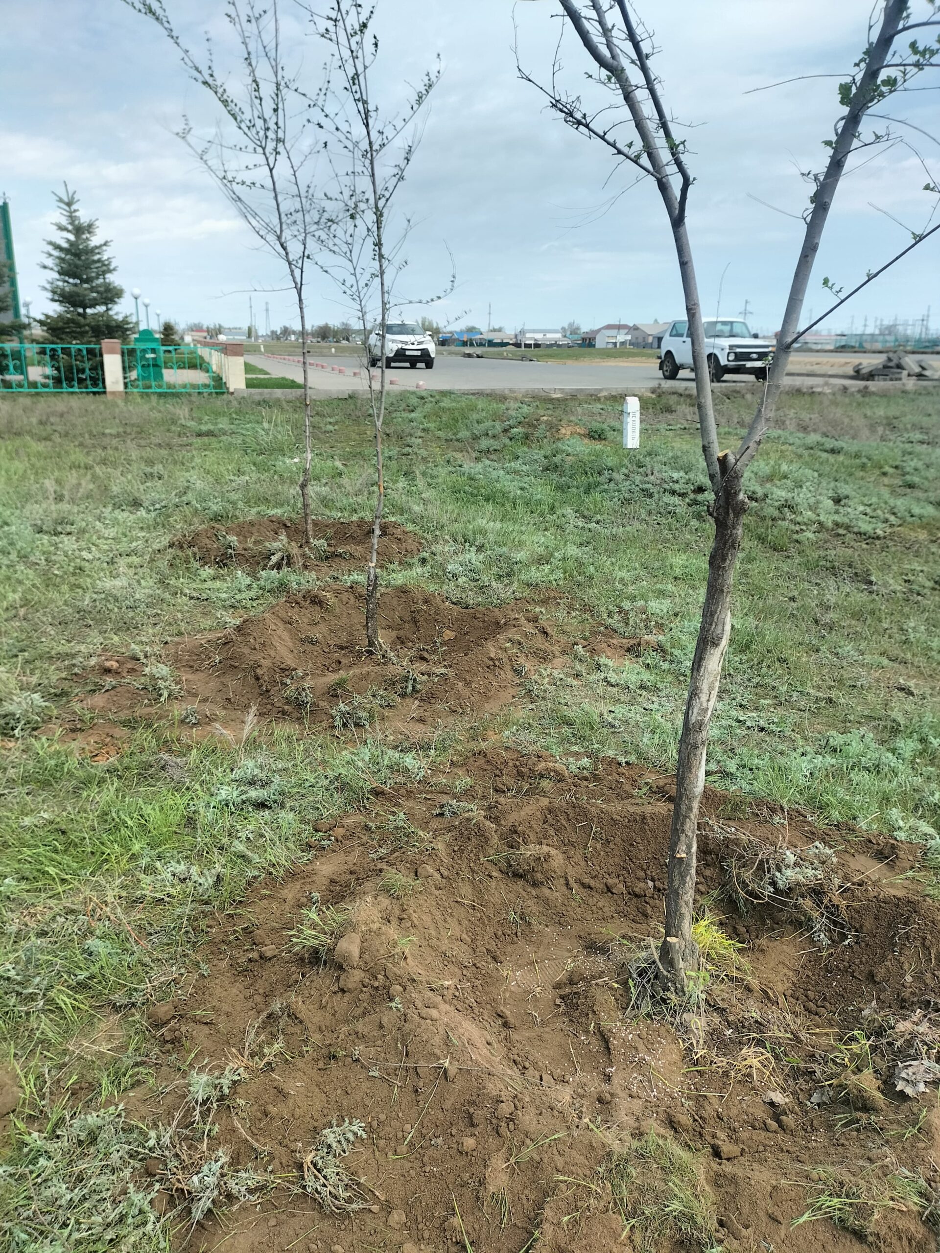 Ағында зорлықпен камминг жасайтын қыздардың порносы